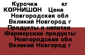 Курочка 0,5 — 0,7 кг. КОРНИШОН › Цена ­ 399 - Новгородская обл., Великий Новгород г. Продукты и напитки » Фермерские продукты   . Новгородская обл.,Великий Новгород г.